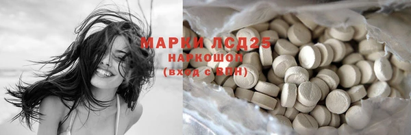 дживик Абаза
