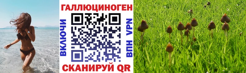 Галлюциногенные грибы ЛСД  Сертолово 